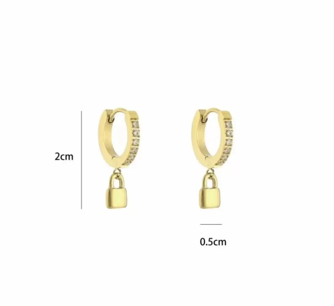 oorbel steentjes met slotje