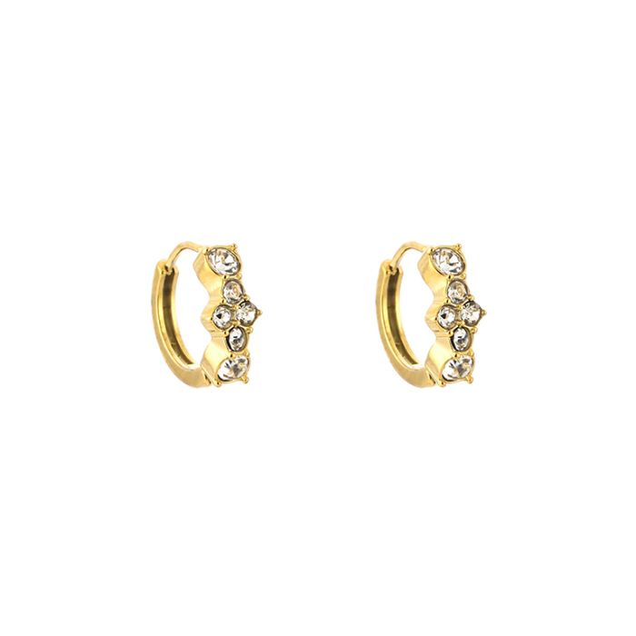 Oorbellen Zirkonia strass